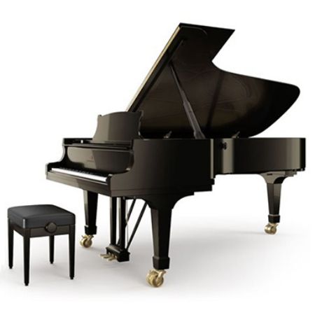 Εικόνα για την κατηγορία Πιάνα με Ουρά